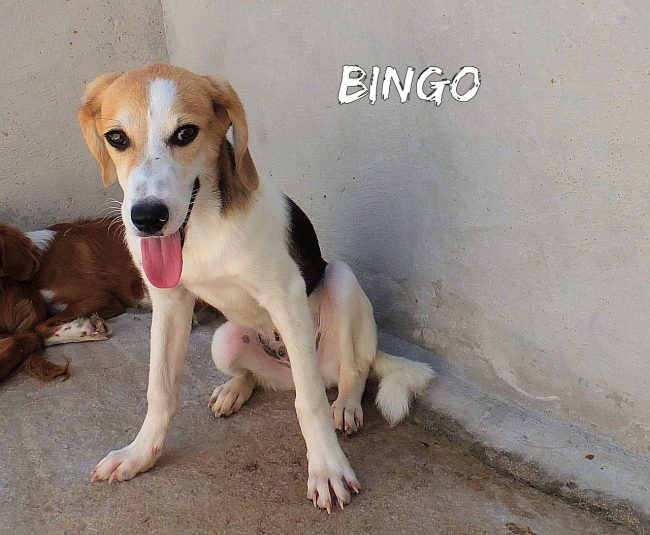 01 agosto 2018 264
