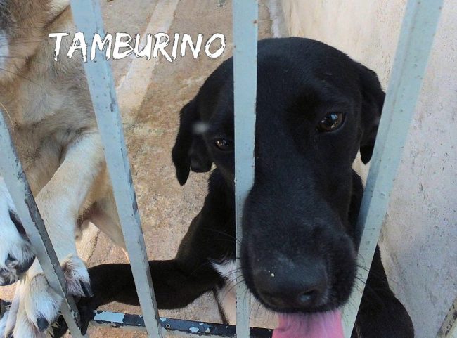 22 agosto 2018 194
