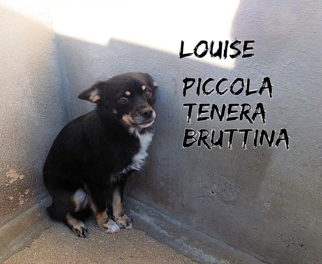 25 ottobre 2018 383