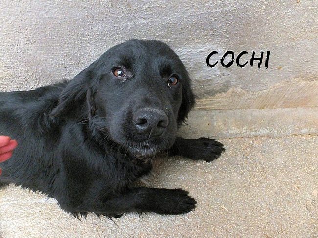 12 dicembre 2018 1098