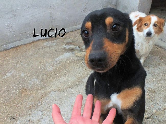 24 gennaio 2019 043