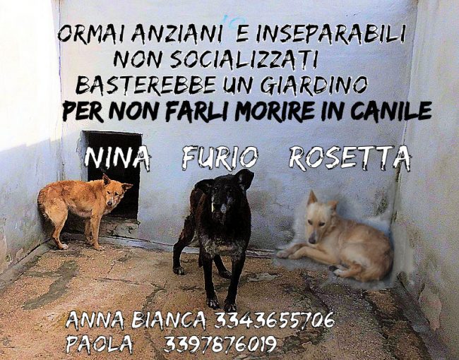 05 dicembre 2019 239a