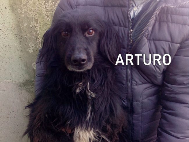 ARTURO 00