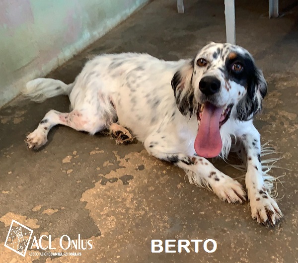 BERTO