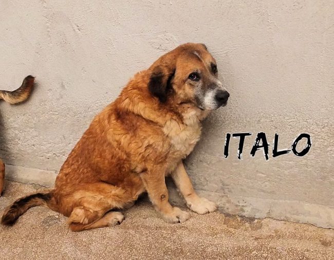 04 aprile 2019 364