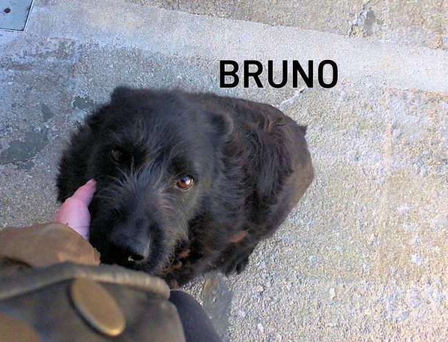 22 maggio 2021 0225