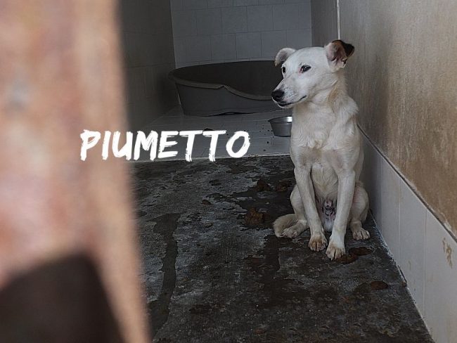 16 maggio 2019 158