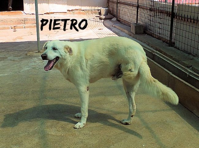 02 luglio 2019 025