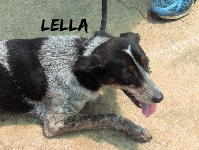 02 luglio 2019 1080