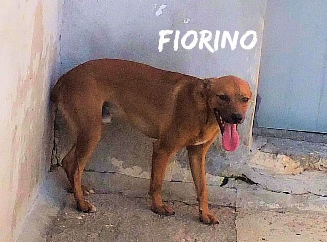 26 agosto 2019 058a