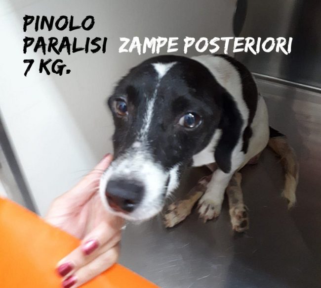 IMG-20190928-WA0002