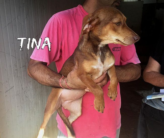IMG-20191001-WA0130
