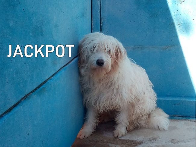 JAKPOT01