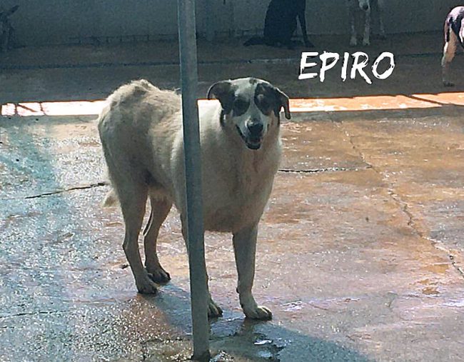 IMG-20191021-WA0134
