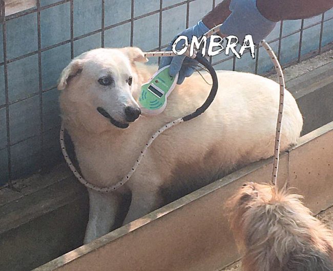 IMG-20191021-WA0153