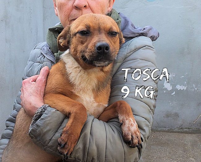 05 dicembre 2019 842
