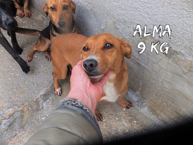 05 dicembre 2019 915
