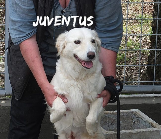 14 maggio 2019 420