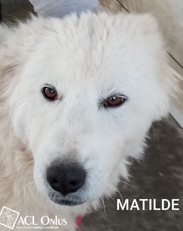 MATI MAREMM LOGO