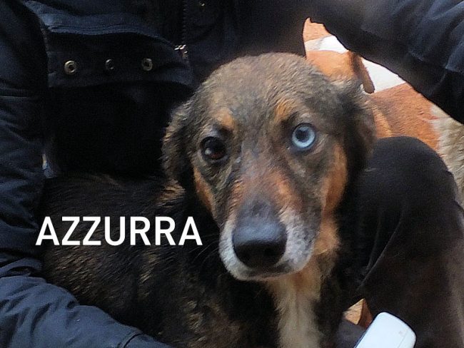 14 gennaio 2021 0611A
