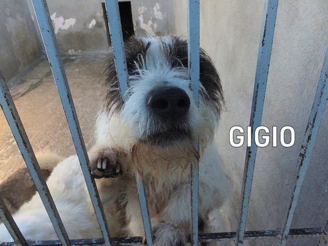 22 maggio 2021 0310