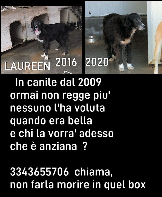 Immagine1