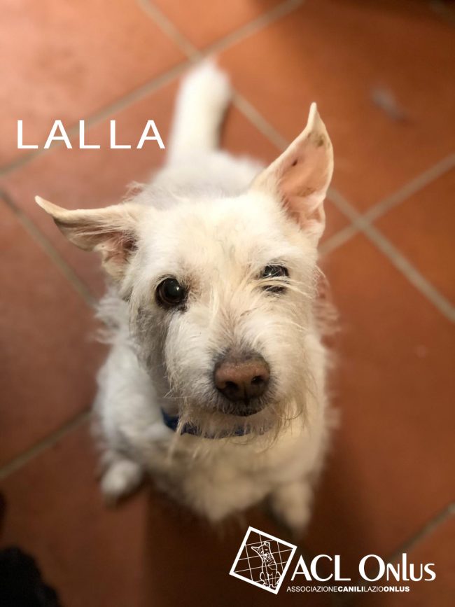 Lalla 1