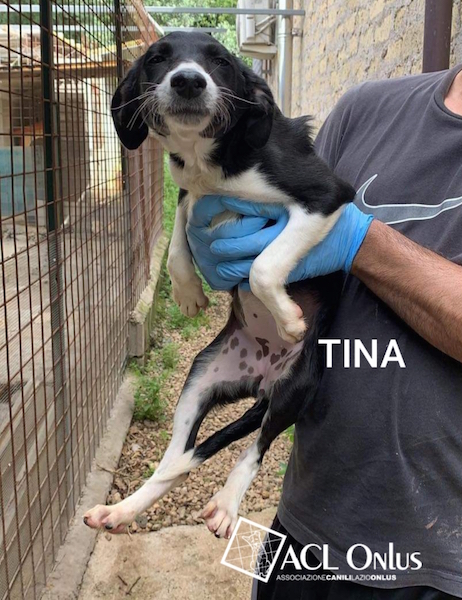 Tina
