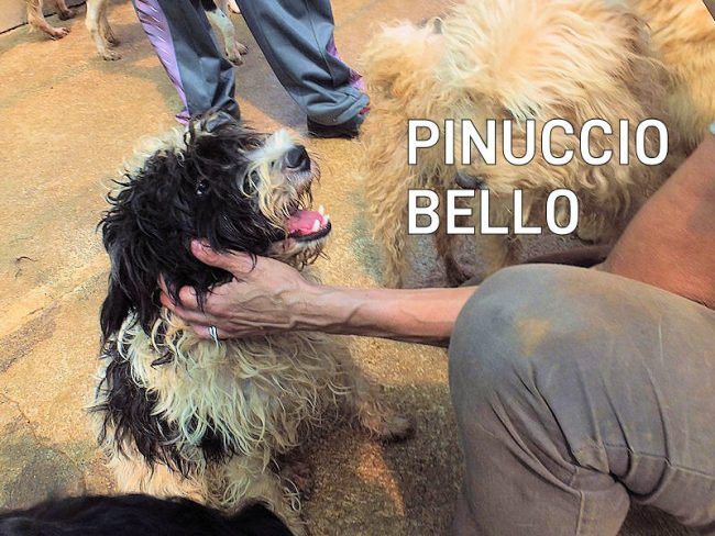 17 luglio 2020 0404