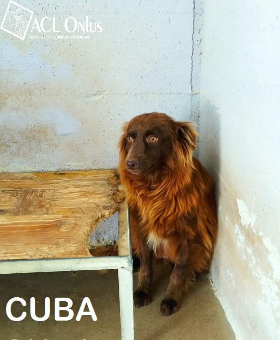 CUBA1