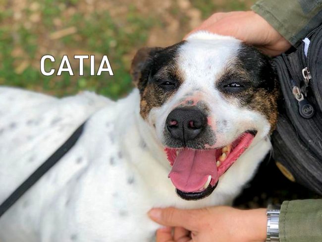 Catia marzo 2021 19a