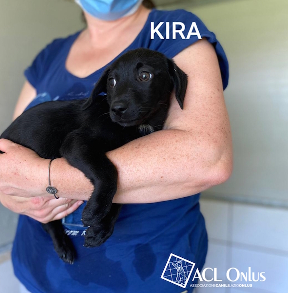 Kira logo 2
