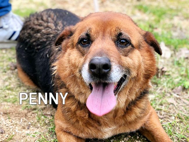 Penny febbraio 2021 03a