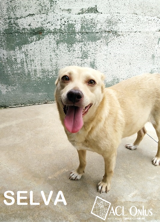 SELVA1