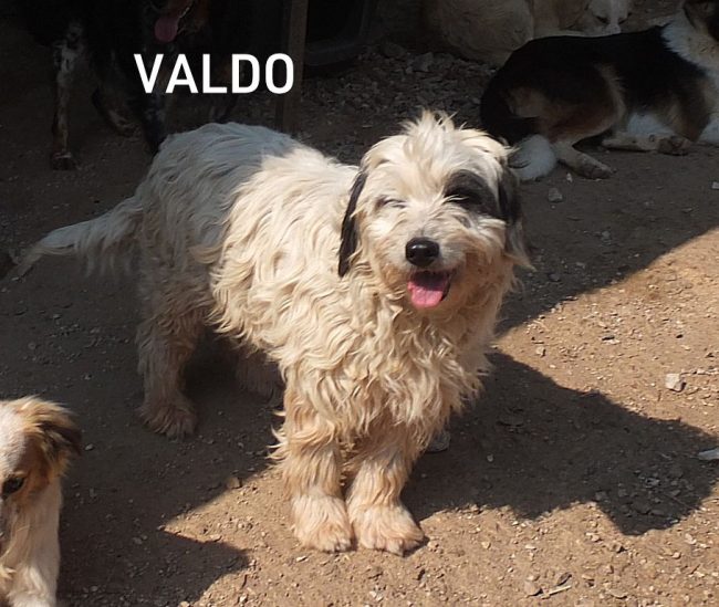 02 marzo 2019 1181