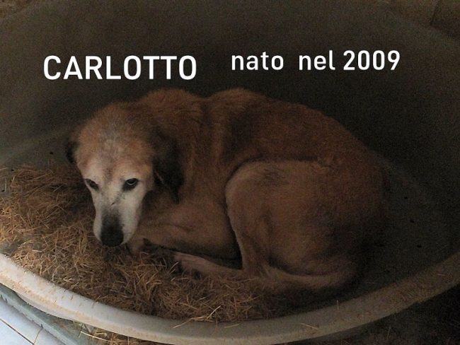 14 gennaio 2021 0276