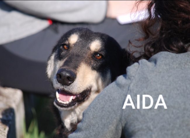 Aida nome
