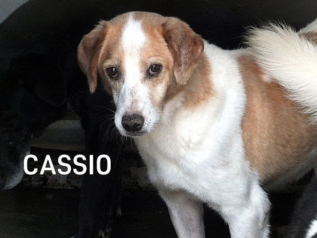DSCF6918