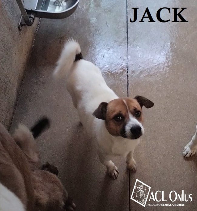 JACK1