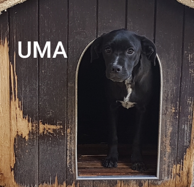 Uma name