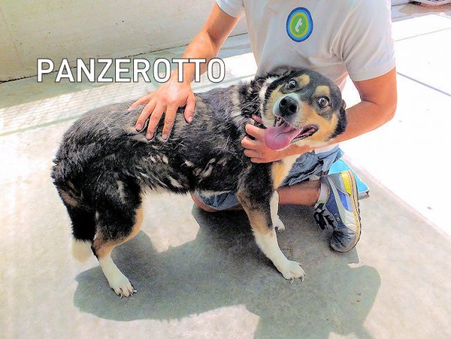 14 luglio 2022 0778