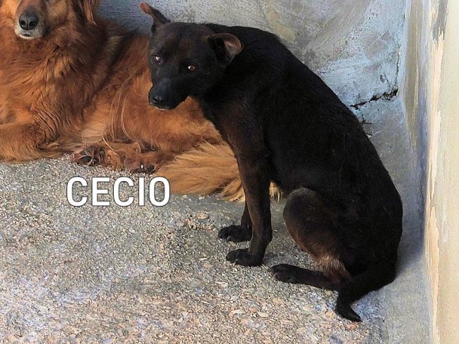 22 maggio 2021 0279A