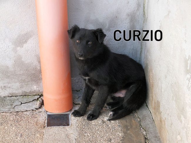 25 febbraio 2021 0172