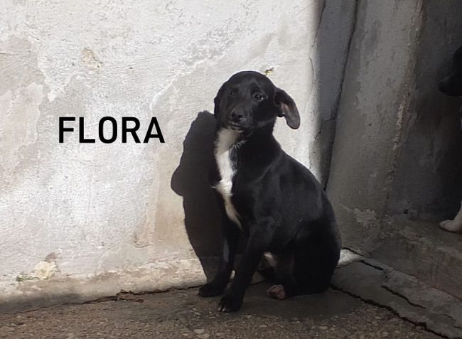 25 febbraio 2021 0178