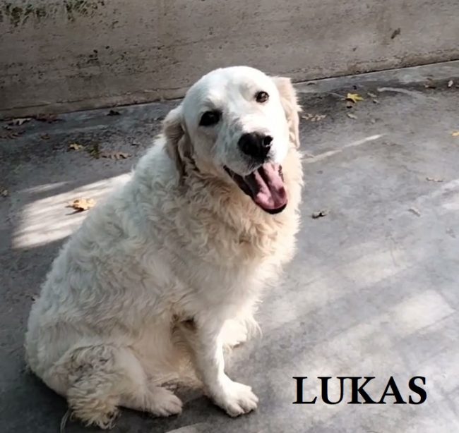 LUKAS