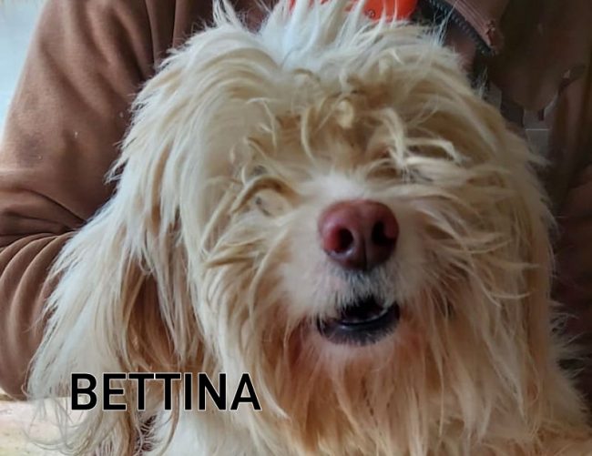 Bettina marzo 2021 03A