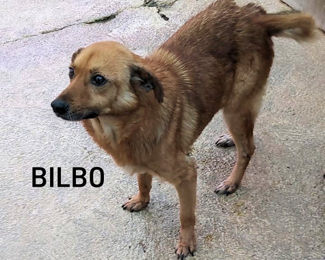 Bilbo 8 marzo 2021 02