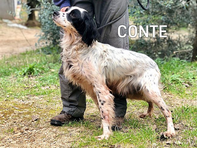 Conte febbraio 2011 05