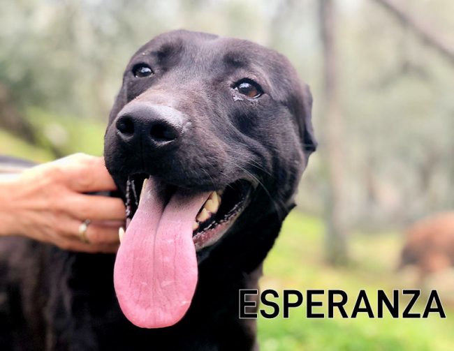 Esperanza febbraio 2021 09A