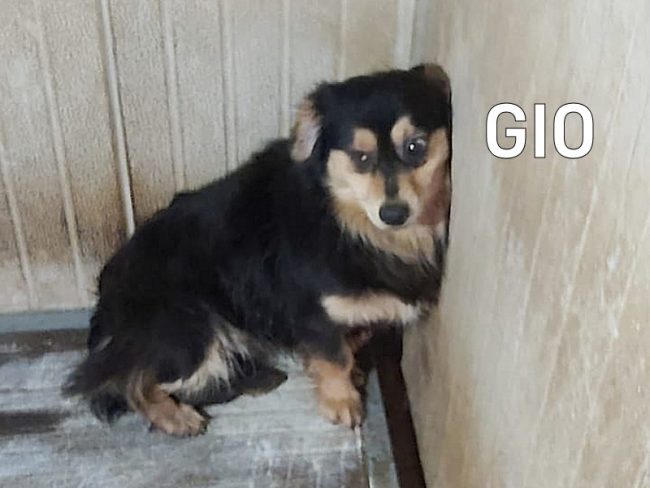 Gio marzo 2021 03